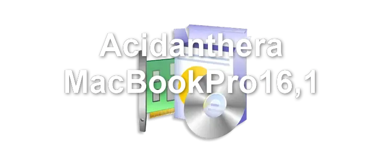Acidanthera MacBookPro16,1