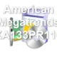 American Megatrends XA133PR110