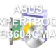 ASUS EXPERTBOOK B3604CMA