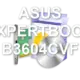 ASUS EXPERTBOOK B3604CVF