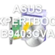 ASUS EXPERTBOOK B9403CVA