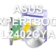 ASUS EXPERTBOOK L2402CYA