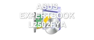 ASUS EXPERTBOOK L2502FYA