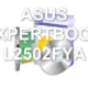 ASUS EXPERTBOOK L2502FYA