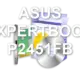 ASUS EXPERTBOOK P2451FB