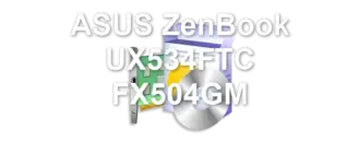ASUS ZenBook UX534FTC FX504GM