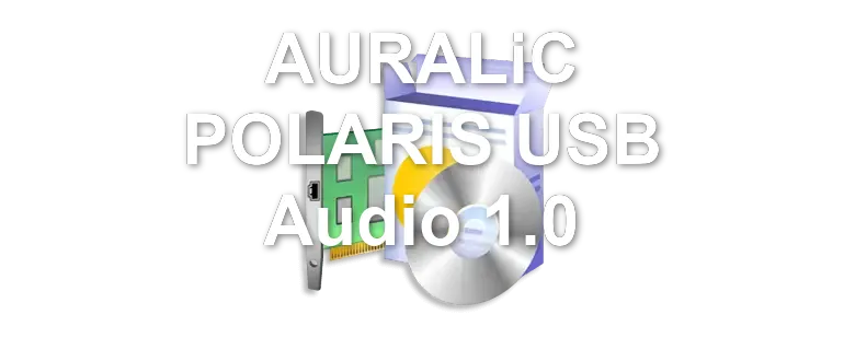 AURALiC POLARIS USB Audio 1.0