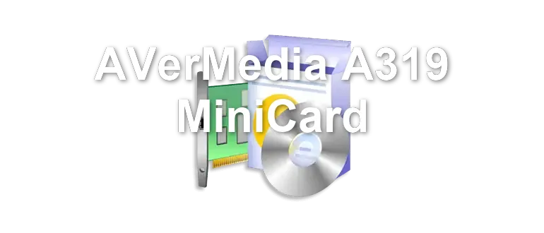 AVerMedia A319 MiniCard