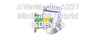 AVerMedia A33T MiniCard Hybrid ISDB-T/S
