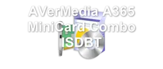 AVerMedia A365 MiniCard Combo ISDBT