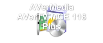 AVerMedia AVerTV MCE 116 Plus