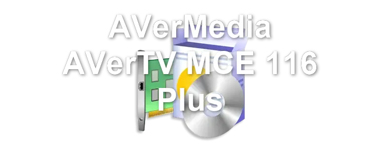 AVerMedia AVerTV MCE 116 Plus
