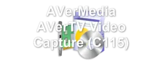 AVerMedia AVerTV Video Capture (C115)