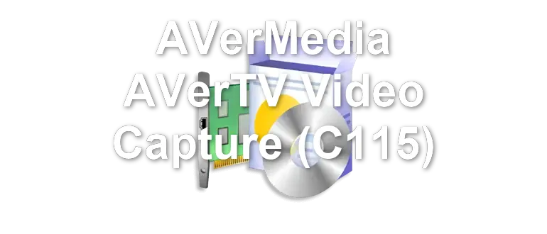 AVerMedia AVerTV Video Capture (C115)