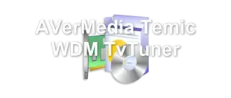 AVerMedia Temic WDM TvTuner