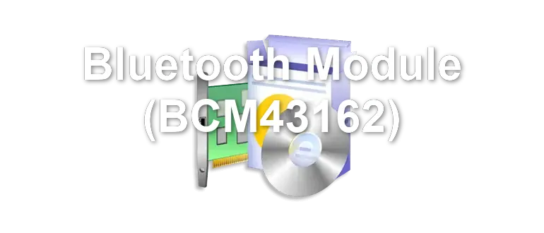 Bluetooth Module (BCM43162)
