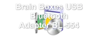 Brain Boxes USB Bluetooth Adapter BL-554