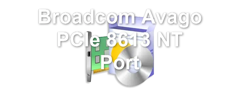 Broadcom Avago PCIe 8613 NT Port