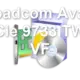 Broadcom Avago PCIe 9733 TWC VF