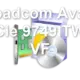 Broadcom Avago PCIe 9749 TWC VF