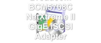 Broadcom BCM5708C NetXtreme II GigE iSCSI Adapter