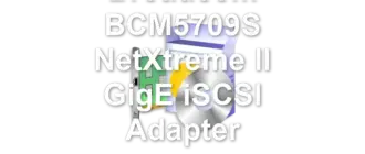 Broadcom BCM5709S NetXtreme II GigE iSCSI Adapter