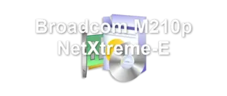 Broadcom M210p NetXtreme-E