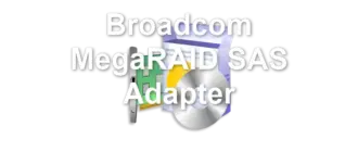 Broadcom MegaRAID SAS Adapter