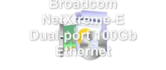 Broadcom NetXtreme-E Dual-port 100Gb Ethernet