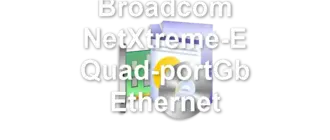 Broadcom NetXtreme-E Quad-portGb Ethernet