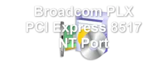 Broadcom PLX PCI Express 8517 NT Port