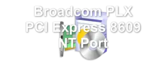 Broadcom PLX PCI Express 8609 NT Port