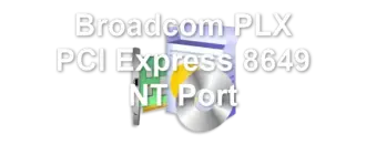 Broadcom PLX PCI Express 8649 NT Port