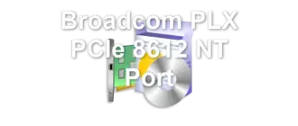 Broadcom PLX PCIe 8612 NT Port