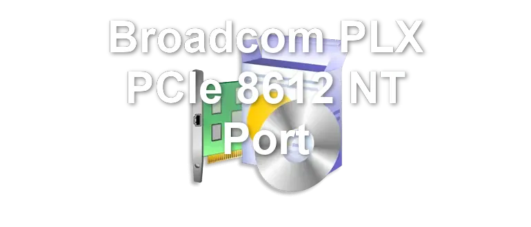 Broadcom PLX PCIe 8612 NT Port