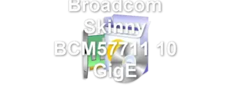 Broadcom Skinny BCM57711 10 GigE