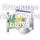 Brooktree CyberTainment bt879