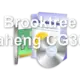 Brooktree Daheng CG300