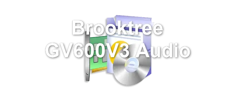 Brooktree GV600V3 Audio
