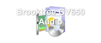 Brooktree GV650 Audio