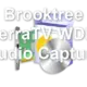 Brooktree TerraTV WDM Audio Capture