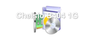 Chelsio B404 1G