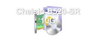 Chelsio B520-SR 10G