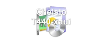Chelsio T440-xaui