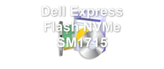 Dell Express Flash NVMe SM1715