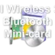 Dell Wireless 370 Bluetooth Mini-card