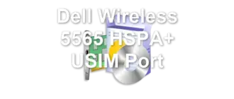 Dell Wireless 5565 HSPA+ USIM Port