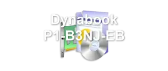 Dynabook P1-B3NJ-EB