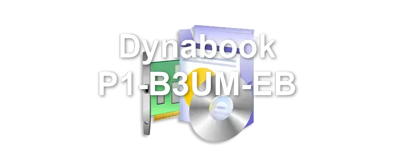 Dynabook P1-B3UM-EB