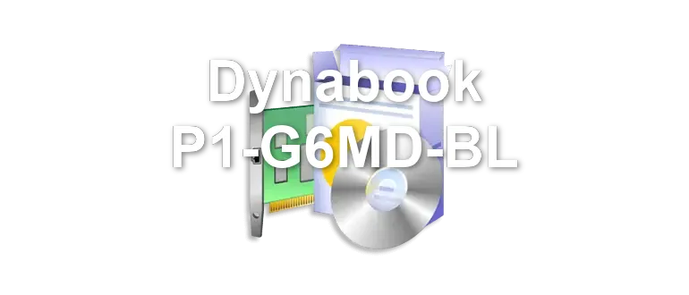 Dynabook P1-G6MD-BL